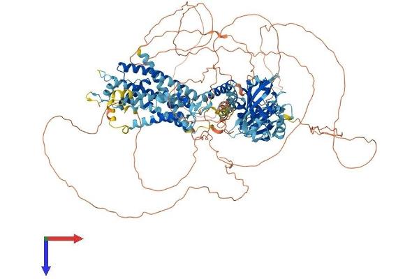 KCNH7 Protein (AA 1-1195) (His tag)