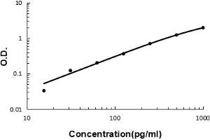 Sandwich ELISA - Recombinant rat GRO alpha/Cxcl1 protein standard curve.