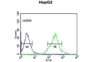 AFMID Antibody (N-term) flow cytometric analysis of HepG2 cells (right histogram) compared to a negative control cell (left histogram). (AFMID Antikörper  (N-Term))