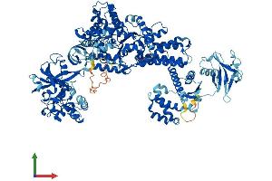 Protein Structure (PS) image for Leucyl-tRNA Synthetase (LARS) (AA 1-1178) protein (His tag) (ABIN7564399)