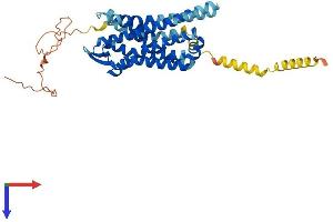 Mu Opioid Receptor 1 Protein (AA 1-398) (His tag)