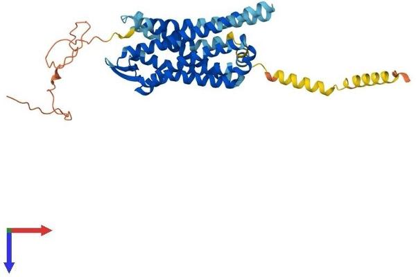 Mu Opioid Receptor 1 Protein (AA 1-398) (His tag)