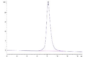 Size-exclusion chromatography-High Pressure Liquid Chromatography (SEC-HPLC) image for CD200 Receptor 1 (CD200R1) (AA 25-267) protein (His tag) (ABIN7274101)