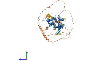 AlphaFold protein structure predicition of Human Recombinant ADRA1D Protein, UniprotID P25100