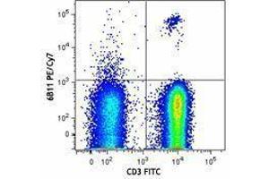 Flow Cytometry (FACS) image for anti-TCR V Alpha24-J Alpha18 antibody (PE-Cy7) (ABIN2659400) (TCR V Alpha24-J Alpha18 Antikörper (PE-Cy7))