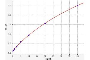 SLC1A3 ELISA Kit