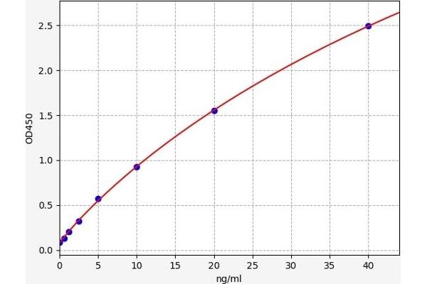 SLC1A3 ELISA Kit