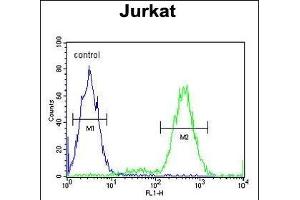 IL Antibody (Center) (ABIN653951 and ABIN2843173) flow cytometric analysis of Jurkat cells (right histogram) compared to a negative control cell (left histogram).