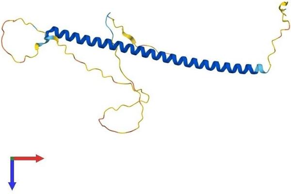 BLOC1S3 Protein (AA 1-195) (His tag)