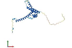 AlphaFold protein structure predicition of Human Recombinant TMA16 Protein, UniprotID Q96EY4