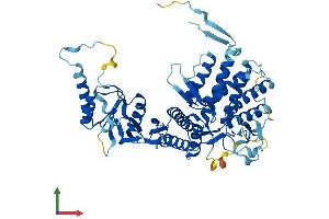 Protein Structure (PS) image for McKusick-Kaufman Syndrome (MKKS) (AA 1-570) protein (His tag) (ABIN7549397)