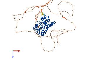 EYA4 Protein (AA 1-616) (His tag)