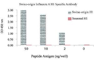 Image no. 1 for anti-Influenza A Virus H1N1 antibody  (ABIN356430) (Influenza A Virus H1N1 Antikörper )