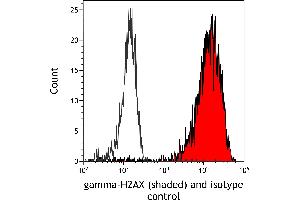 Flow Cytometry (FACS) image for anti-gamma Histone Variant H2AX (GAMMA-H2AX) (Ser140) antibody (ABIN7455200) (Rekombinanter gamma H2AX Antikörper  (Ser140))
