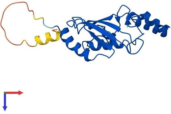 UBE2F Protein (AA 1-185) (His tag)