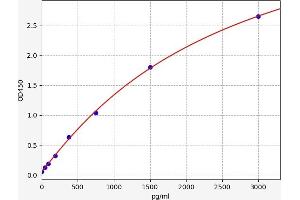 Typical standard curve (FBLN2 ELISA Kit)