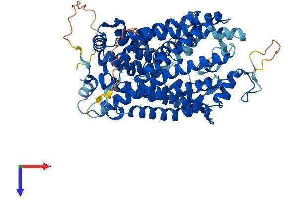 SLC6A13 Protein (AA 1-602) (His tag)
