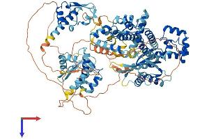 GTF2IRD2 Protein (AA 1-936) (His tag)