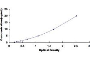 Typical standard curve (LCT ELISA Kit)