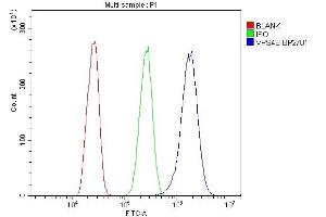 anti-Vacuolar Protein Sorting 4 Homolog B (vps4b) (AA 1-85) antibody