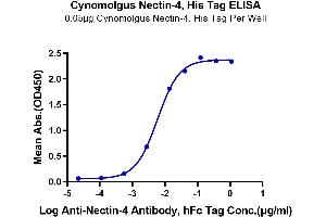 Immobilized Cynomolgus Nectin-4, His Tag at 0. (PVRL4 Protein (His tag))