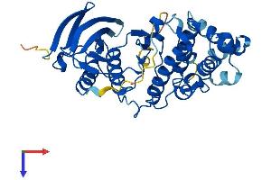 MAPK13 Protein (AA 1-366) (His tag)
