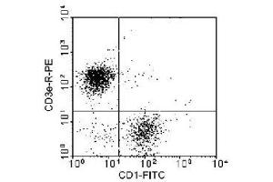 Peripheral blood mononuclear cells were isolated from heparinized pig blood on Ficoll-Paque density gradients and incubated with CD1 monoclonal antibody, clone 76-7-4 (Biotin) and mouse anti-pig CD3E-R-PE Clone PPT3.