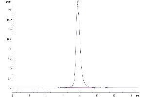 Size-exclusion chromatography-High Pressure Liquid Chromatography (SEC-HPLC) image for Interleukin 22 Receptor, alpha 1 (IL22RA1) (AA 16-228) protein (Fc Tag) (ABIN7275045)