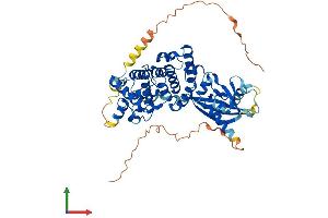 AlphaFold protein structure predicition of Mouse Recombinant Mutyh Protein, UniprotID Q99P21
