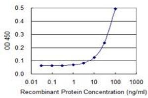 Detection limit for recombinant GST tagged MYL9 is 3 ng/ml as a capture antibody. (MYL9 Antikörper  (AA 1-118))