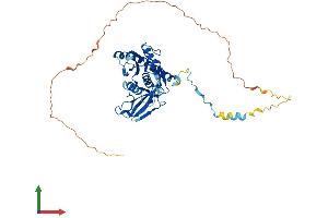 Protein Structure (PS) image for Exosome Component 9 (EXOSC9) (AA 1-439) protein (His tag) (ABIN7553839)