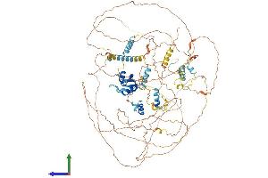 AlphaFold protein structure predicition of Mouse Recombinant Ppargc1b Protein, UniprotID Q8VHJ7