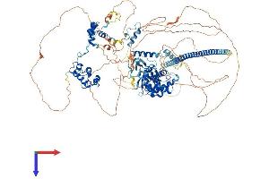 SMARCC2 Protein (AA 1-1213) (His tag)
