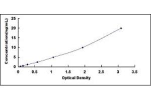 UROC1 ELISA Kit