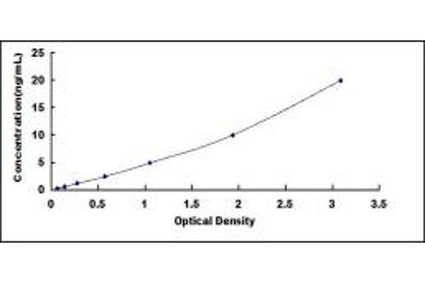 UROC1 ELISA Kit