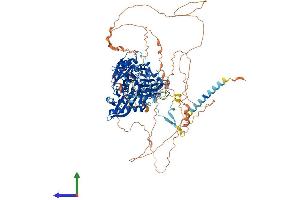 Protein Structure (PS) image for beta-1,4-N-Acetyl-Galactosaminyl Transferase 4 (B4GALNT4) (AA 1-1039) protein (His tag) (ABIN7552598)