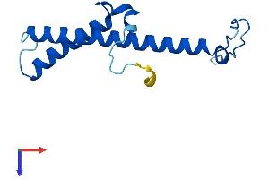 NDUFC2 Protein (AA 1-119) (His tag)