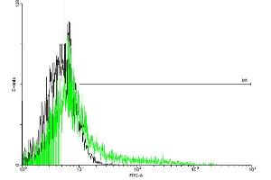 FACS analysis of negative control 293 cells (Black) and IL2RB expressing 293 cells (Green) using IL2RB purified MaxPab mouse polyclonal antibody. (IL2 Receptor beta Antikörper  (AA 1-551))