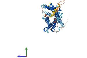 Protein Structure (PS) image for Prokineticin Receptor 2 (PROKR2) (AA 1-384) protein (His tag) (ABIN7550781)