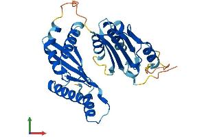 Protein Structure (PS) image for RWD Domain Containing 2A (RWDD2A) (AA 1-292) protein (His tag) (ABIN7561185)