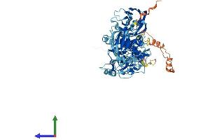 Protein Structure (PS) image for Protein Kinase C, gamma (PRKCG) (AA 1-697) protein (His tag) (ABIN7563505)