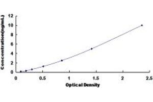 SLC25A37 ELISA Kit