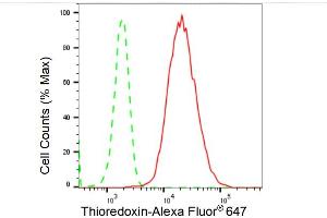 Flow cytometric analysis of Thioredoxin expression in HepG2 cells using Thioredoxin antibody (ABIN7800538), 1:2,000). (Rekombinanter TXN Antikörper)