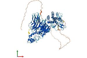 Protein Structure (PS) image for General Transcription Factor IIIC, Polypeptide 4 (GTF3C4) (AA 1-822) protein (His tag) (ABIN7555739)