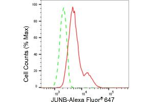 Flow cytometric analysis of JUNB expression in HepG2 cells using JUNB antibody (ABIN7799142), 1:2,000).