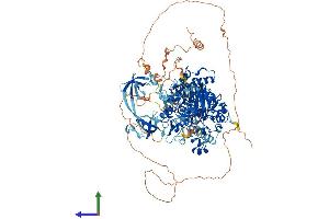 Protein Structure (PS) image for Lysine (K)-Specific Demethylase 4C (KDM4C) (AA 1-1056) protein (His tag) (ABIN7554271)