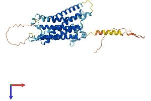 TACR2 Protein (AA 1-398) (His tag)