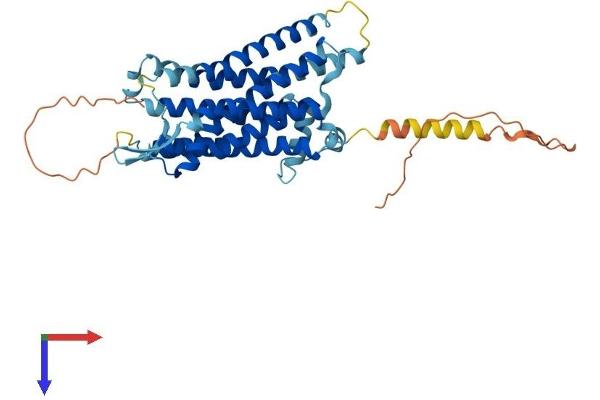 TACR2 Protein (AA 1-398) (His tag)