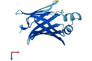 Protein Structure (PS) image for Fatty Acid Binding Protein 9, Testis (FABP9) (AA 1-132) protein (His tag) (ABIN7562195)
