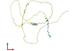 Protein Structure (PS) image for Nuclear Casein Kinase and Cyclin-Dependent Kinase Substrate 1 (NUCKS1) (AA 1-243) protein (His tag) (ABIN7550115)